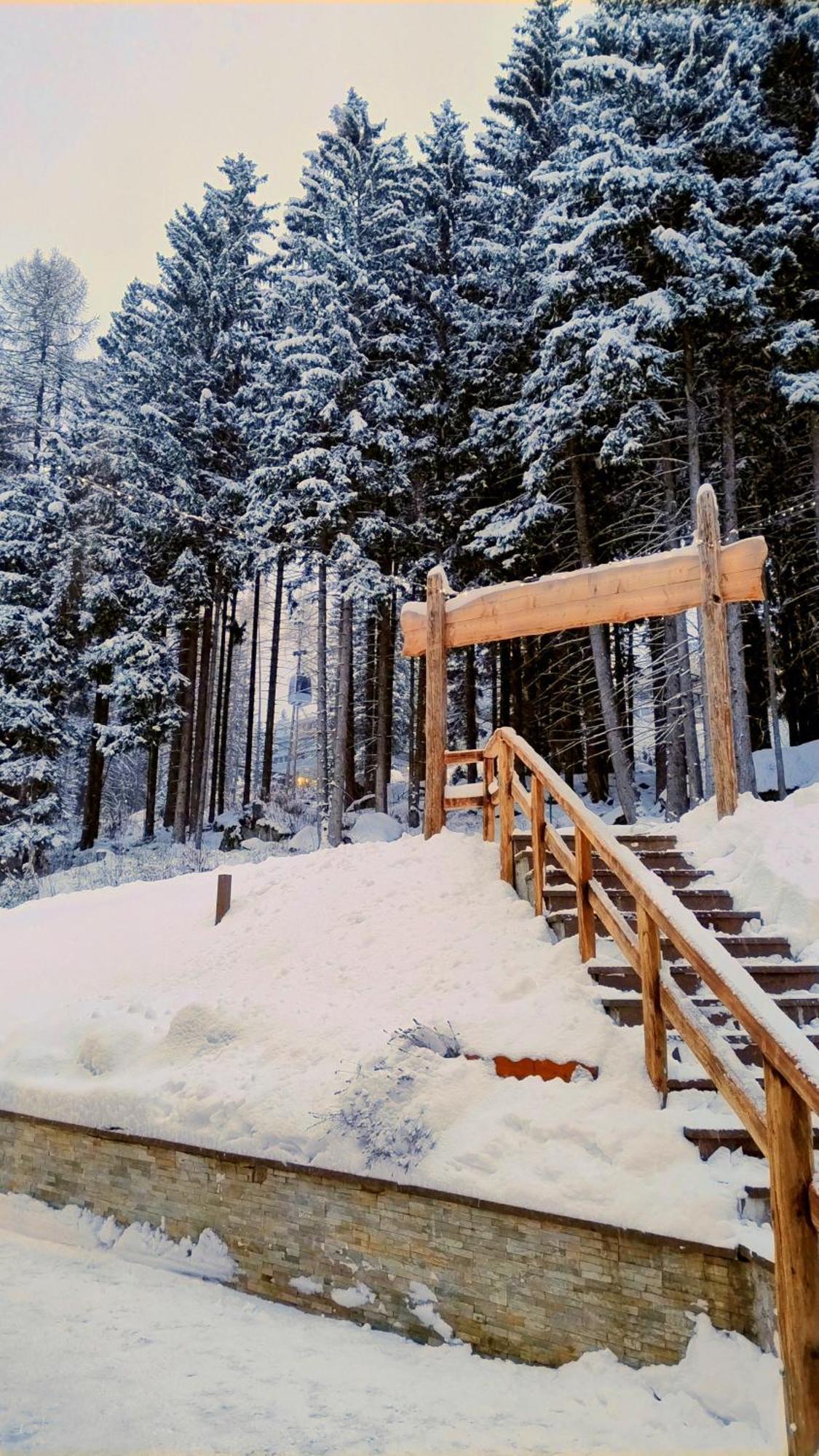 Ale 1206, Marilleva 1400 Accesso Diretto Alle Piste المظهر الخارجي الصورة
